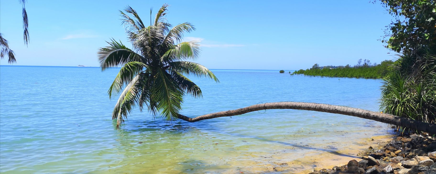 cocotiers koh pha ngan