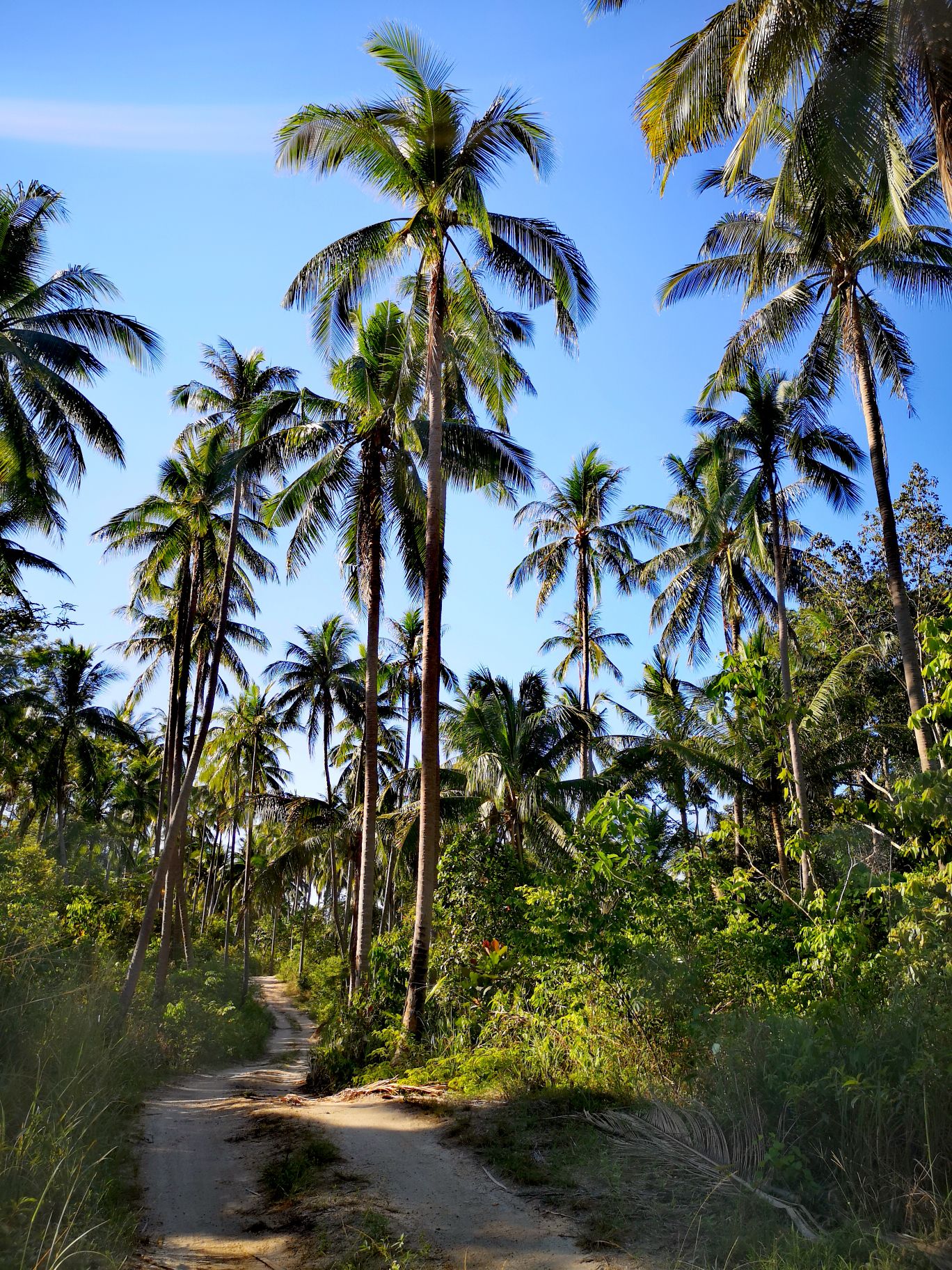 randonnée Bottle beach