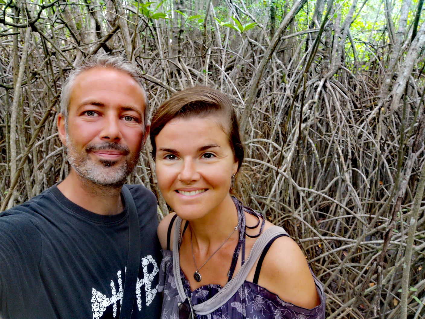 mangrove koh pha ngan