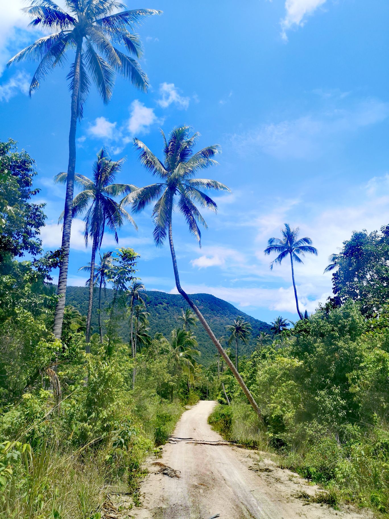 comment aller bottle beach