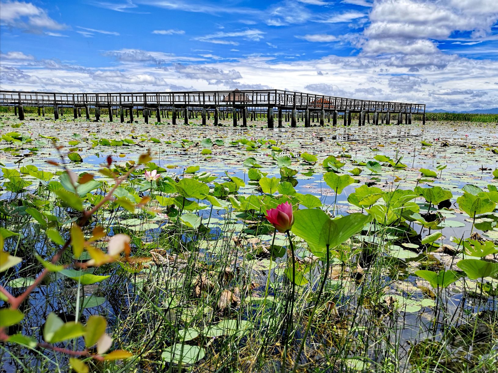 Thung Sam Roi Yot marais