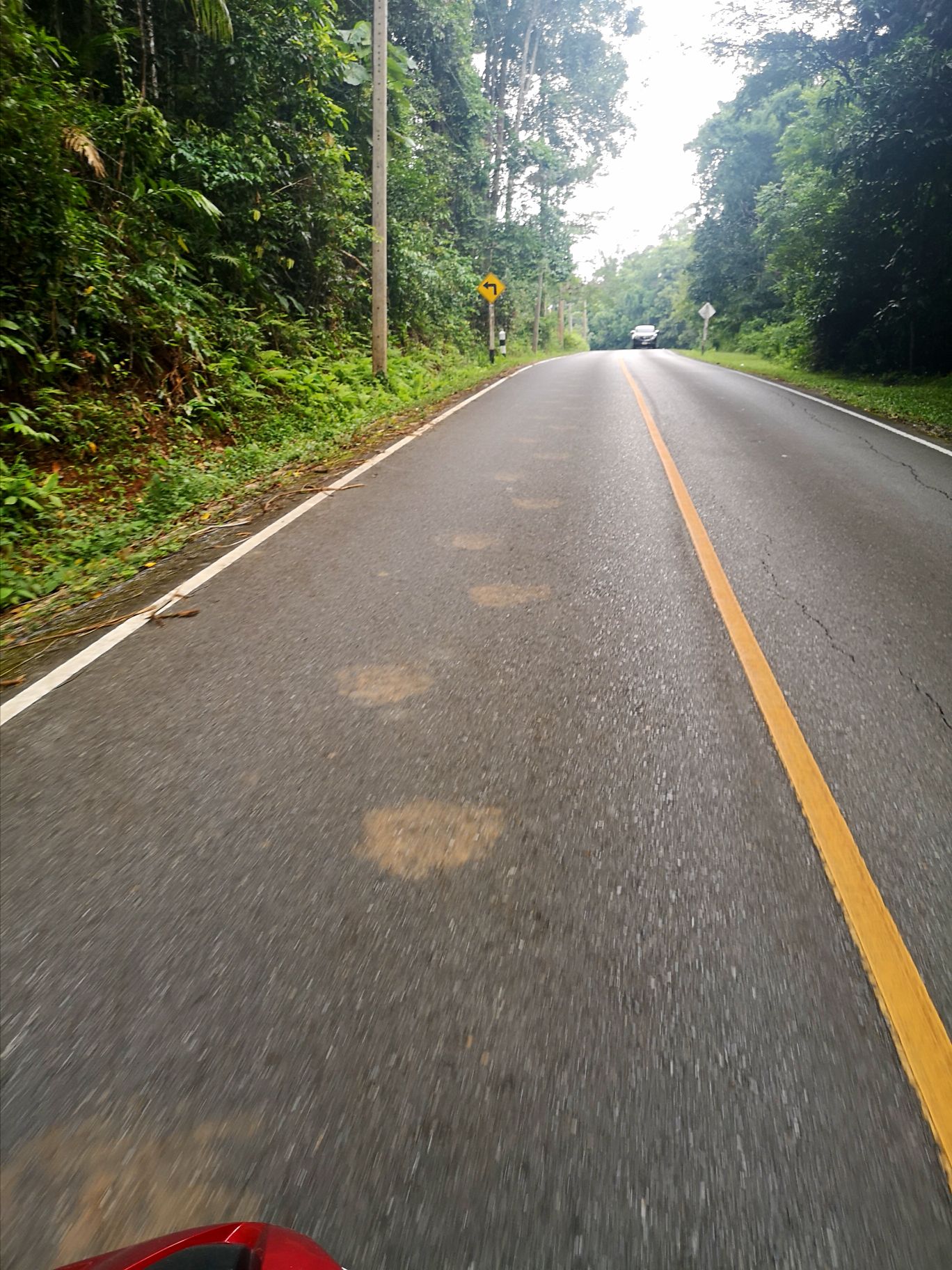 Khao Yai pas éléphant