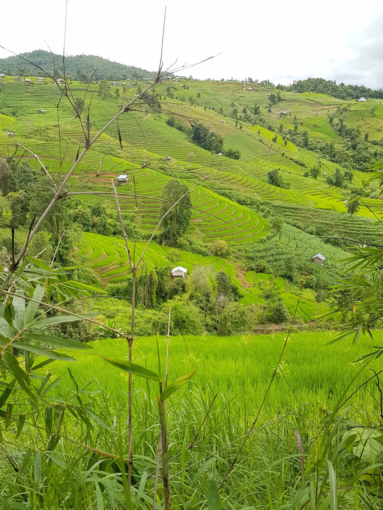 Bang Pa Pong Piang magnifique