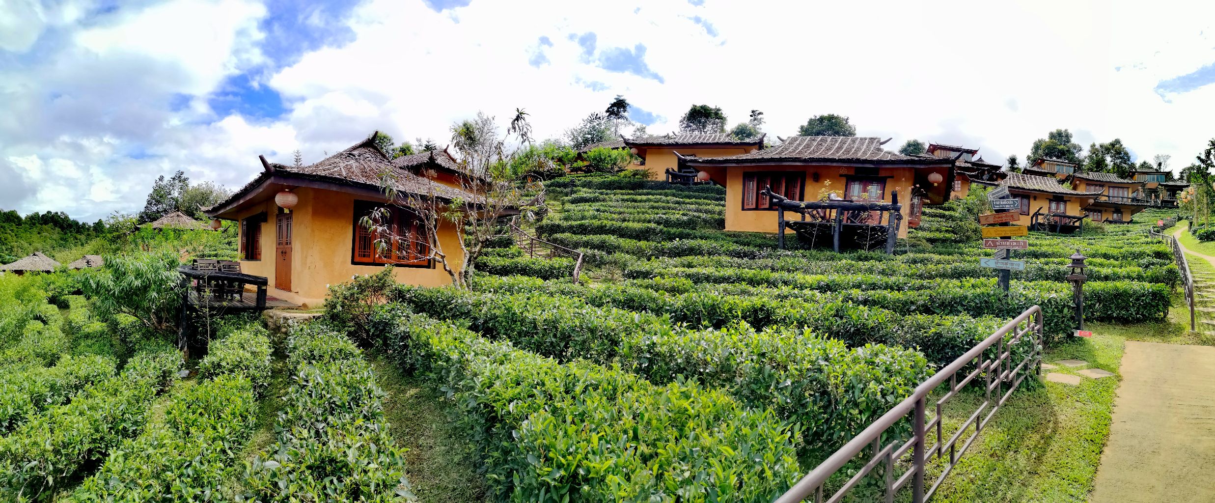 Ban Rak Tai garden thé