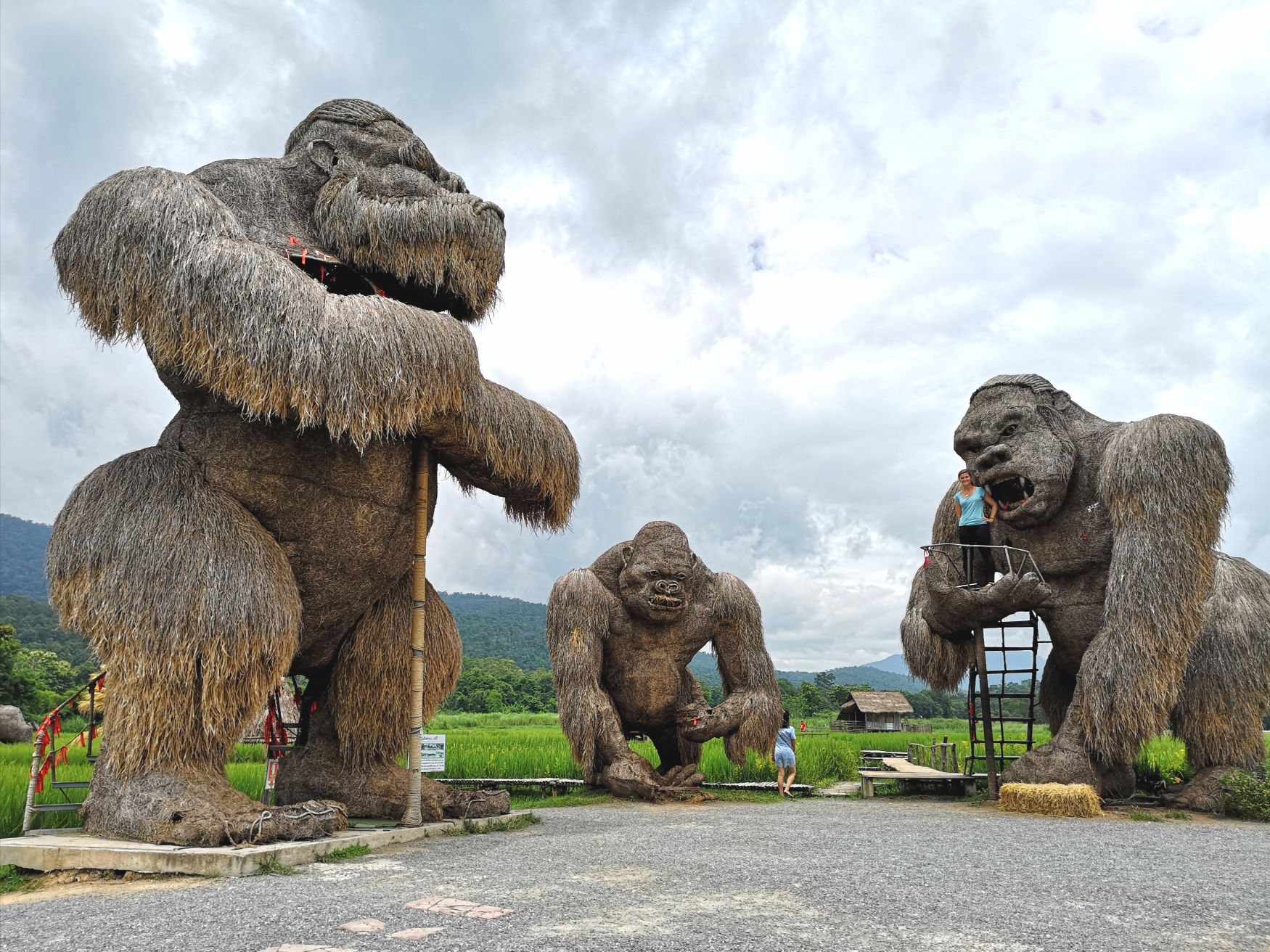 Huay Tueng Tao monster