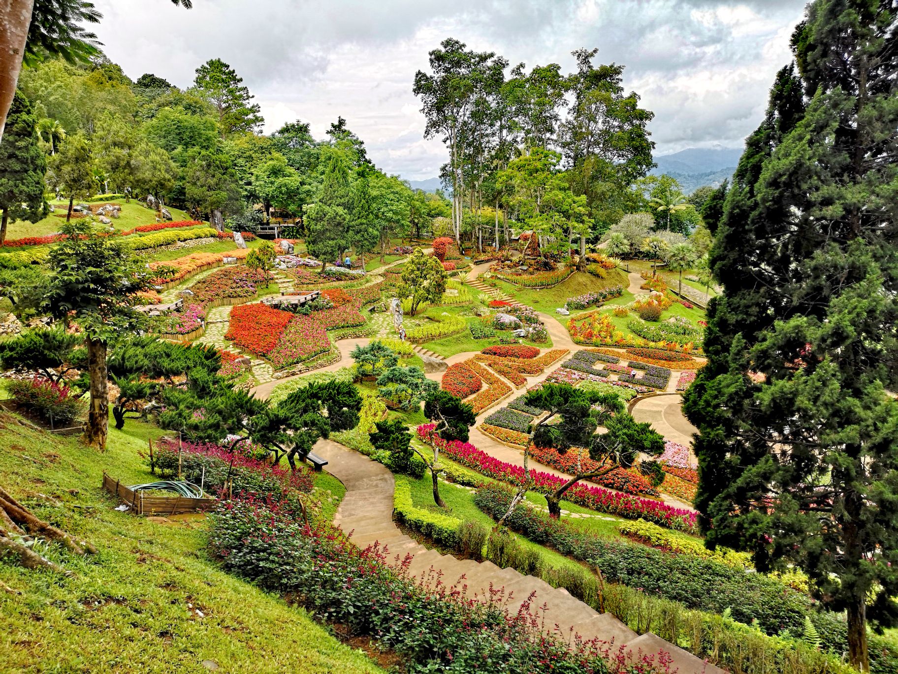 arboretum thailande