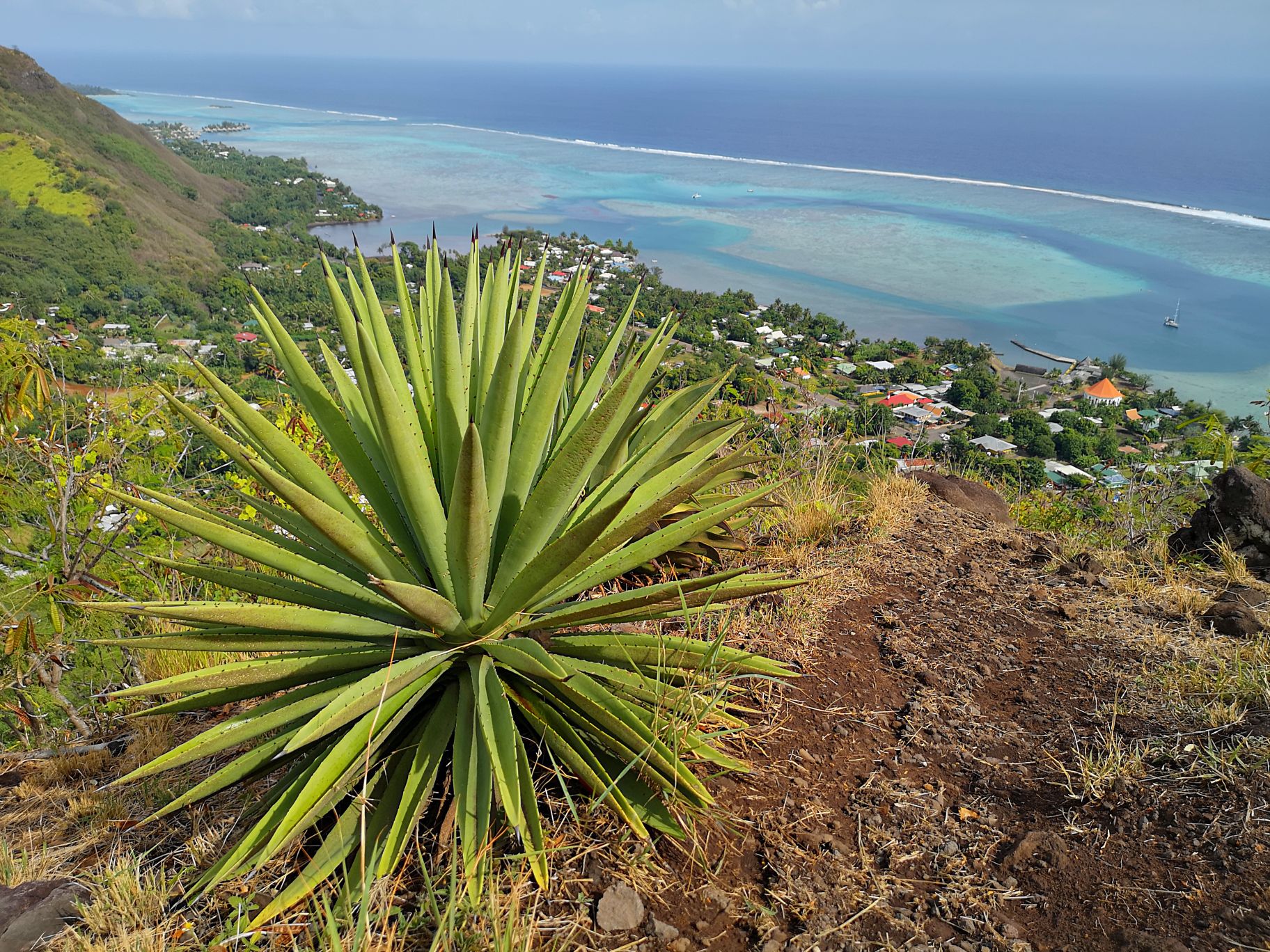 Montagne magique moorea