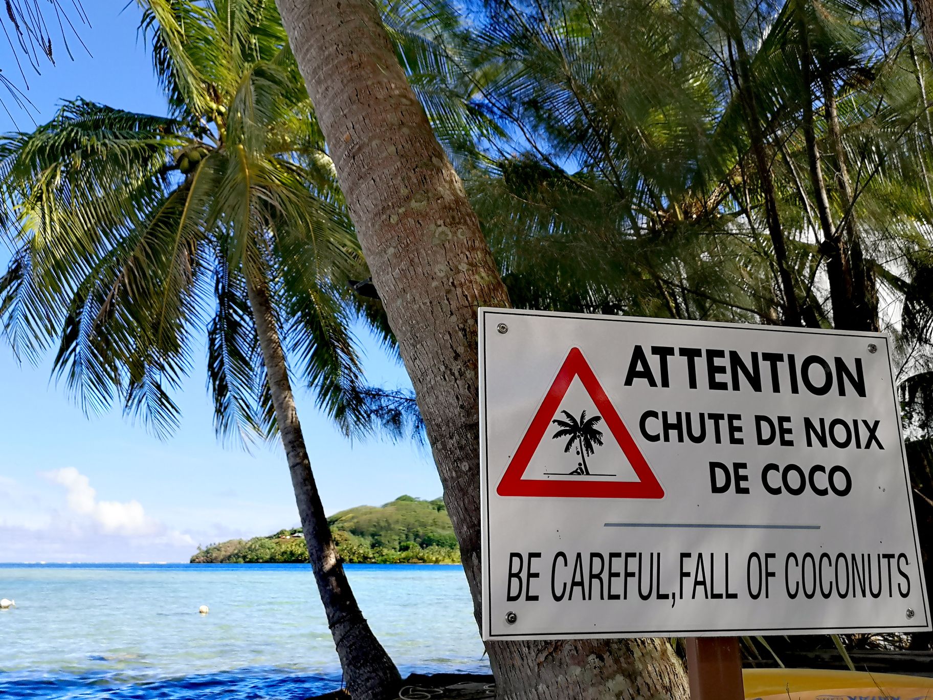 chute de noix de coco