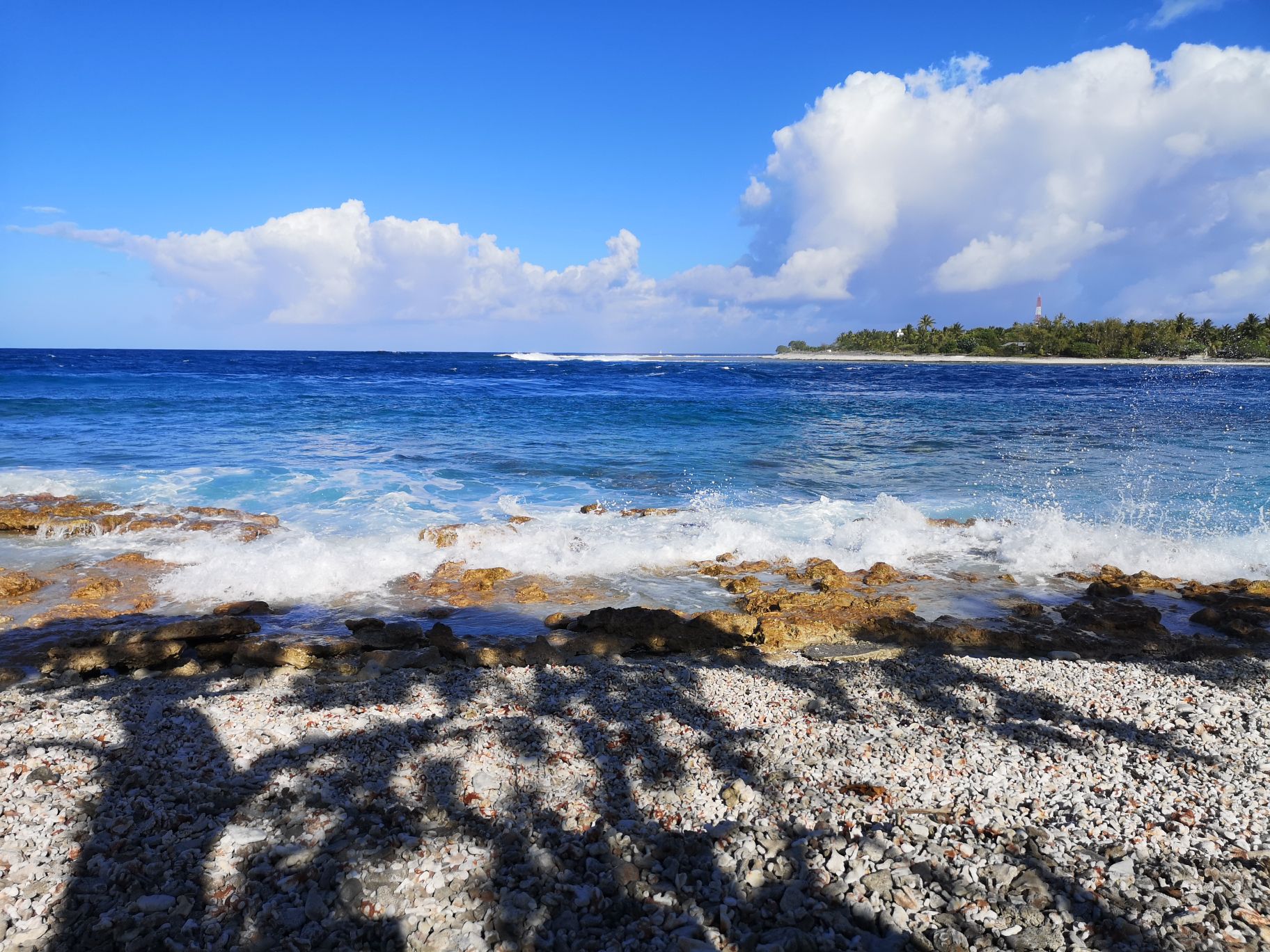 rangiroa corail barrière