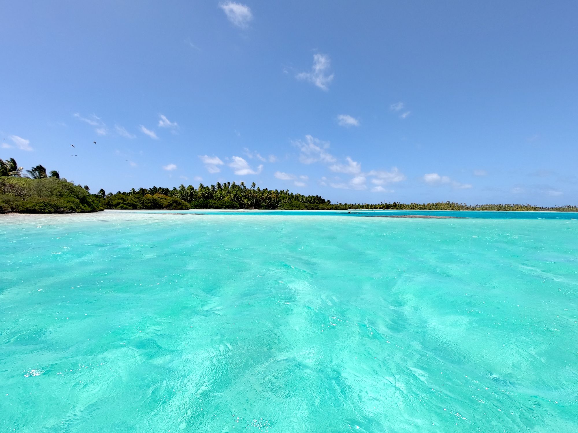rangiroa bleu