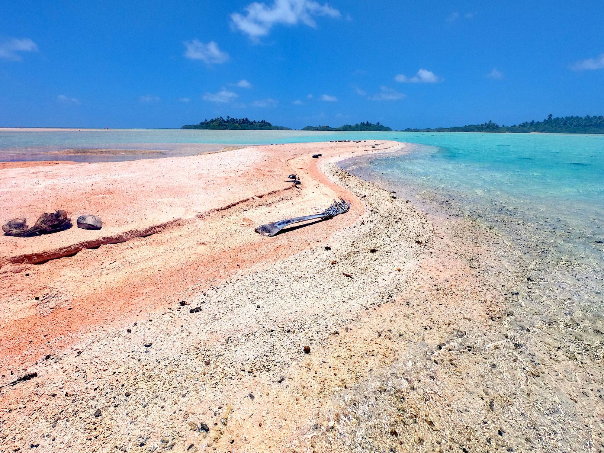 rangiroa plage sable rose
