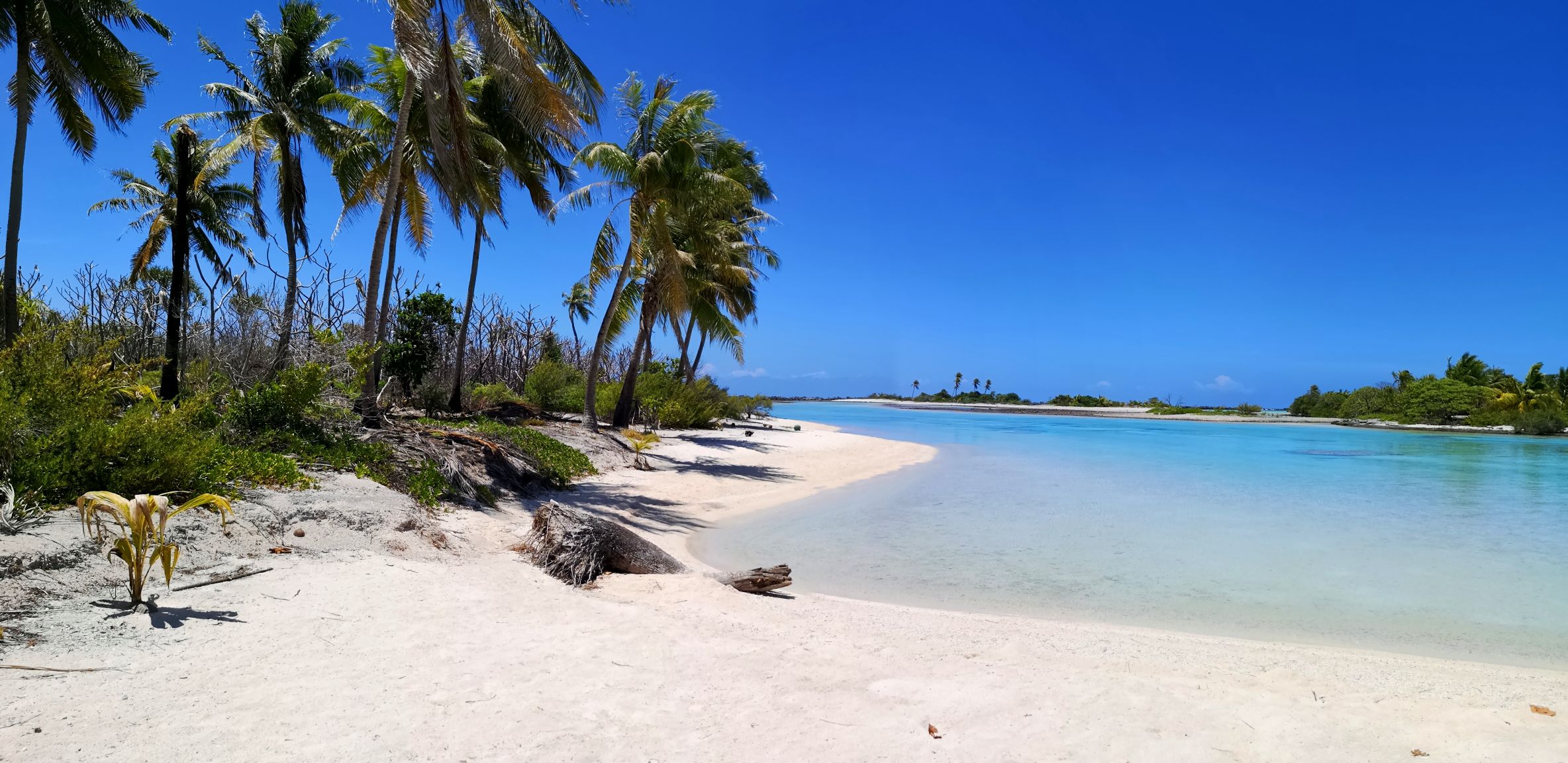 rangiroa ile au récif