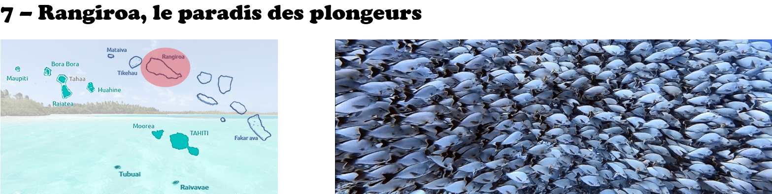 guide rangiroa